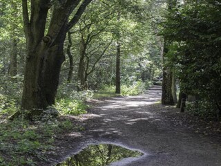 Parco vacanze Boxtel Ambiente 23