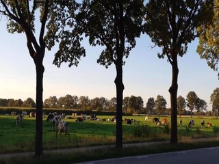 Vakantiepark Boxtel Omgeving 21