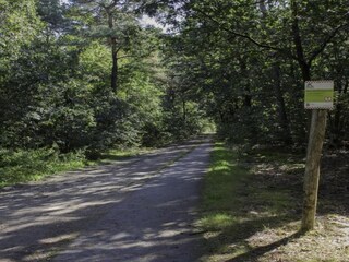 Vakantiepark Boxtel Omgeving 16