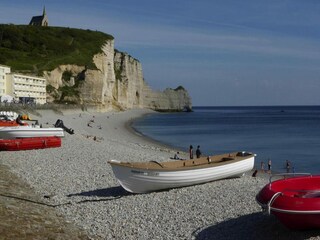 Casa de vacaciones Saint Martin aux Buneaux Entorno 33