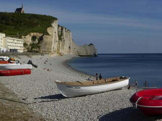 Ferienhaus Saint Martin aux Buneaux Umgebung 32