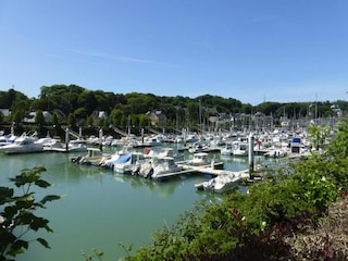 Holiday house Saint Martin aux Buneaux Environment 33