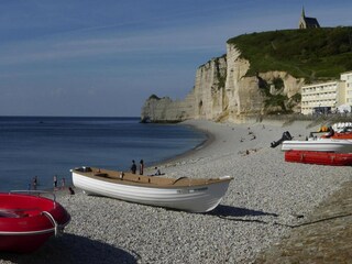 Ferienhaus Saint Martin aux Buneaux Umgebung 29
