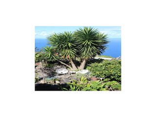 Vakantiepark El Tanque Buitenaudio-opname 18