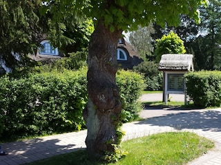 Einfahrt