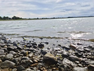 Maison de vacances Vestervig  38