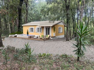 Villa Montescudaio Enregistrement extérieur 1