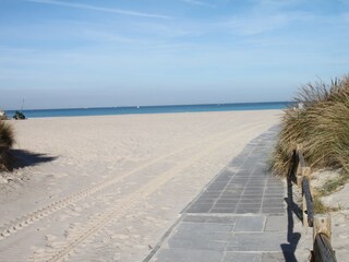 Villa Montescudaio Environment 7