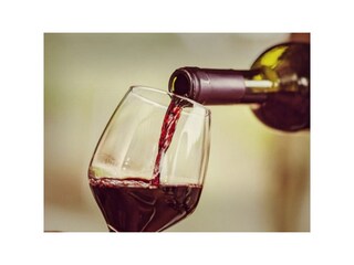 Villa Montescudaio Environnement 9