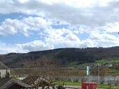 Ausblick Mosel vom Balkon