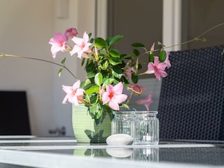 Apartamento Traben-Trarbach Grabación al aire libre 8