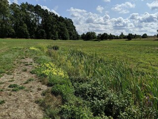 Vakantiepark Dobbin-Linstow Omgeving 16
