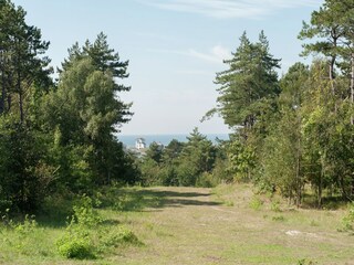Casa de vacaciones Bergen aan Zee Entorno 27