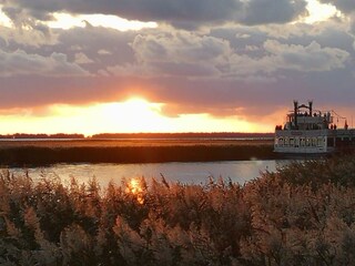 Bodden