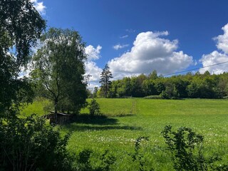 Vakantiehuis Brilon Omgeving 29