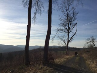 Vakantiehuis Brilon Omgeving 30