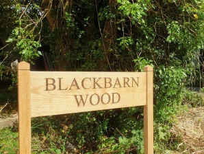 Ferienhaus Blackbarn Wood - Cambridgeshire - image1