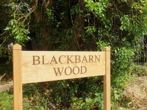 Casa de vacaciones Blackbarn Wood - Cambridgeshire - image1