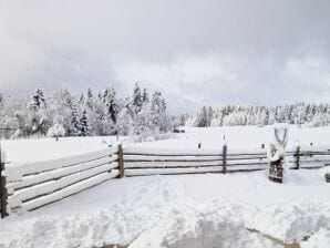 Apartment NaturAuszeit - Altenau bei Saulgrub - image1