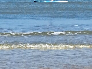 Casa per le vacanze Kamperland Ambiente 33