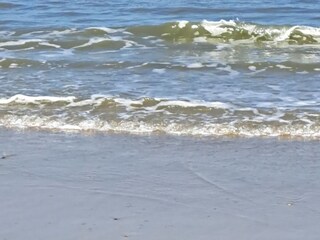 Casa per le vacanze Kamperland Ambiente 34