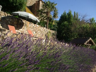 Holiday house Saint-Florent-sur-Auzonnet Outdoor Recording 4