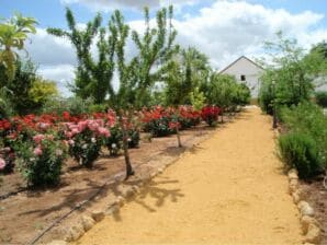 Appartement spacieux à Carmona avec jardin - Carmone - image1