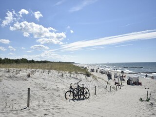 Ferienhaus Graal-Müritz Umgebung 36