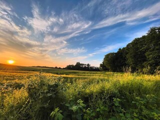 Casa per le vacanze Graal-Müritz Ambiente 30