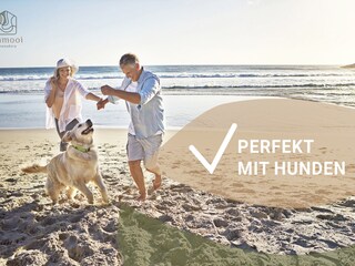 Casa per le vacanze Julianadorp Registrazione all'aperto 8