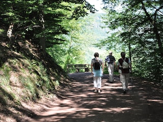 Wandern auf den Moselhöhen