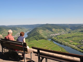 Panoramablick ins Moseltal