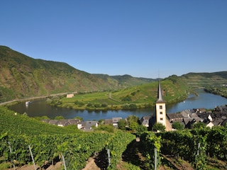 Moselschleife und Blick auf die Steillagen des Calmont