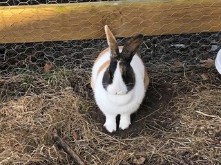 Casa de vacaciones Ansager  30