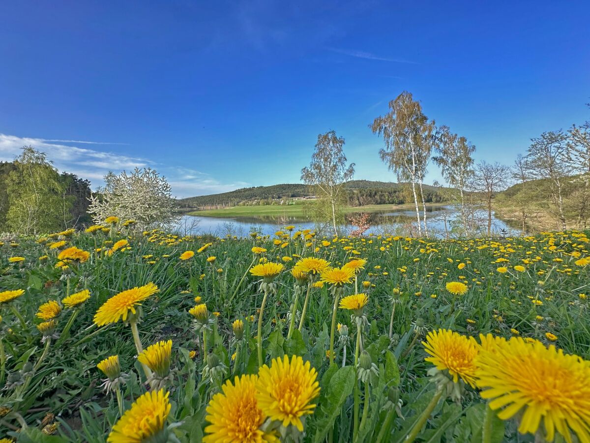 Ferienhaus Neunburg vorm Wald Außenaufnahme 8