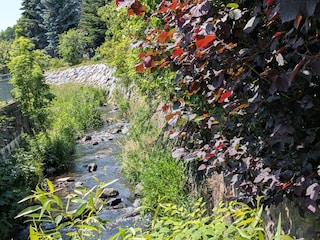 Fluss Lausur