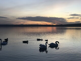 Appartamento per vacanze Schondorf (Ammersee) Ambiente 26