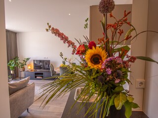 Appartamento per vacanze Domburg Caratteristiche 20