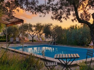 Swimming pool on olive yard
