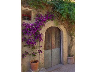 Main entrance to the cottage
