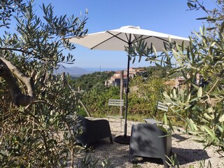 View from the pool