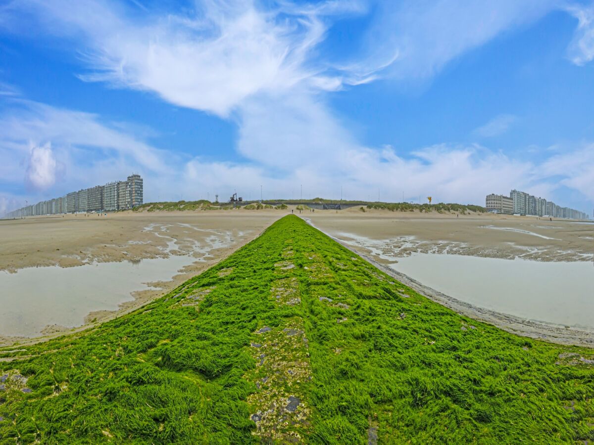 Appartement Westende Omgeving 1