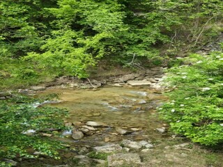 Apartamento Sulz am Neckar Entorno 31