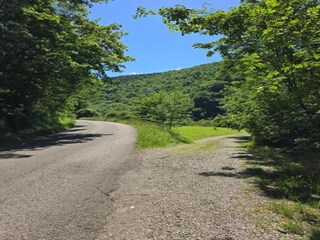 Appartement Sulz am Neckar Omgeving 31