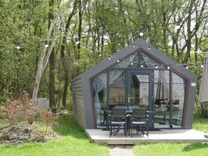 Chalet compact avec terrasse, dans un parc de vacances à 14 km. de Hoogeveen - ruines - image1