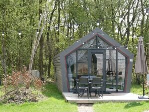 Vakantiepark Compact chalet met terras - ruïnes - image1