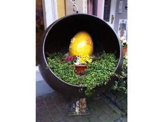 Apartamento de vacaciones Bernkastel-Kues Entorno 29