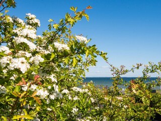 Casa per le vacanze Hejlsminde  8