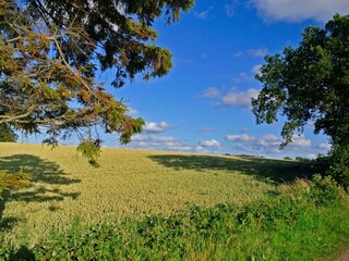 Casa per le vacanze Hejlsminde  39