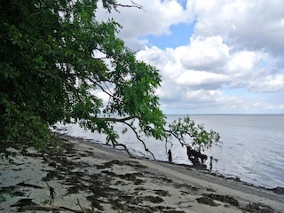 Ferienhaus Hejlsminde  21